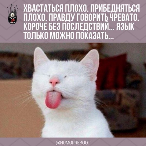 27b017fec2589bc4099253541fd033cb