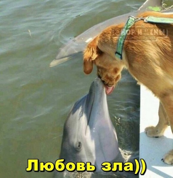 IMG 20220114 020218