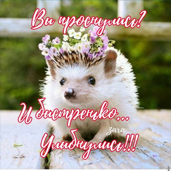 f2888e3d858e32530ff902385dc26