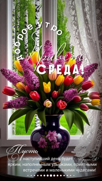 Друзья мои!