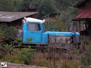 picture_104729731