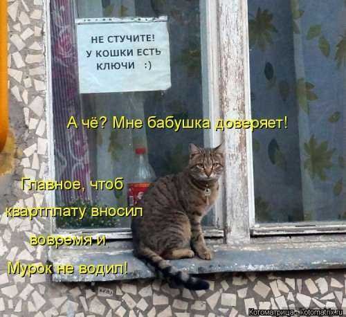 Мурок не водил!