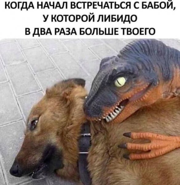 Svezhajshaja-porcija-memov-i-kommentov-iz-seti-000