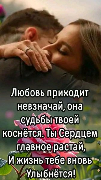 Любовь