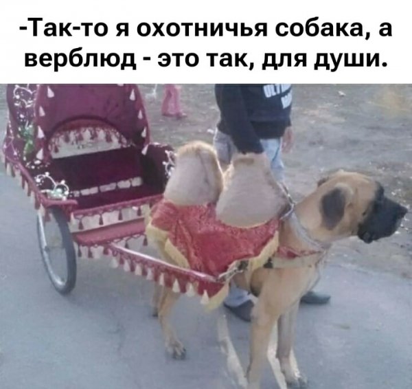 Для души )