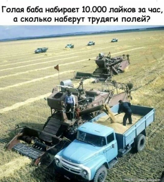 p.600.600.0