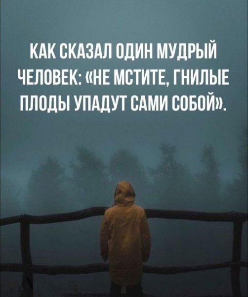 Не мстите