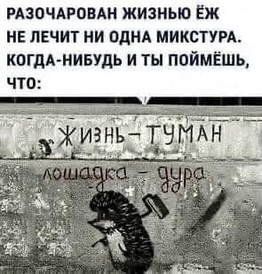 FB IMG 1753717045084