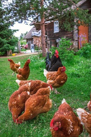 I - 2025-07-01T191422.240