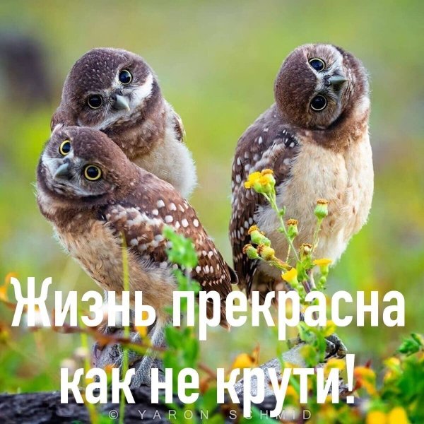 image - 2021-08-07T213735.051