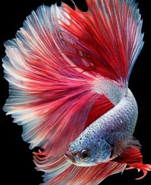 FB IMG 1614486258536