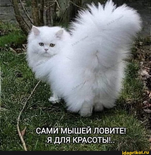 Df517026cffeb994820664ff7673b138e1c1ca0ab924f2f 1