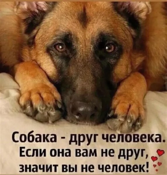 Так и есть!