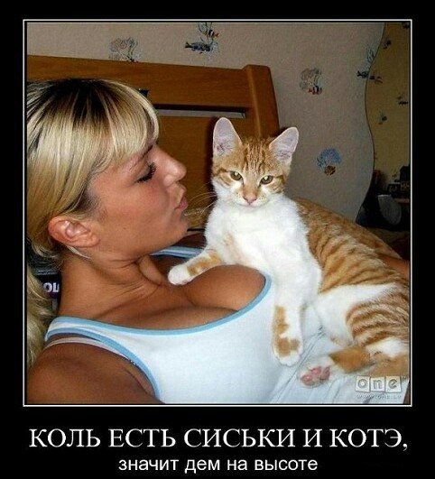 СИСЬКИ И КОТ