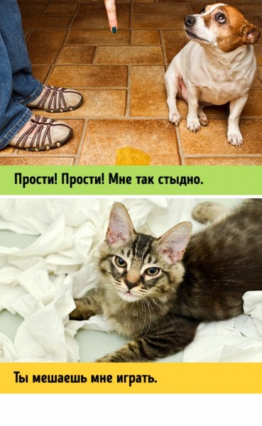 Так!