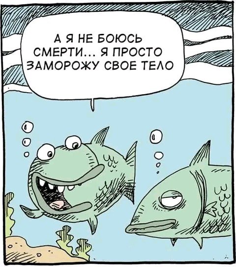Заморозить рыбу