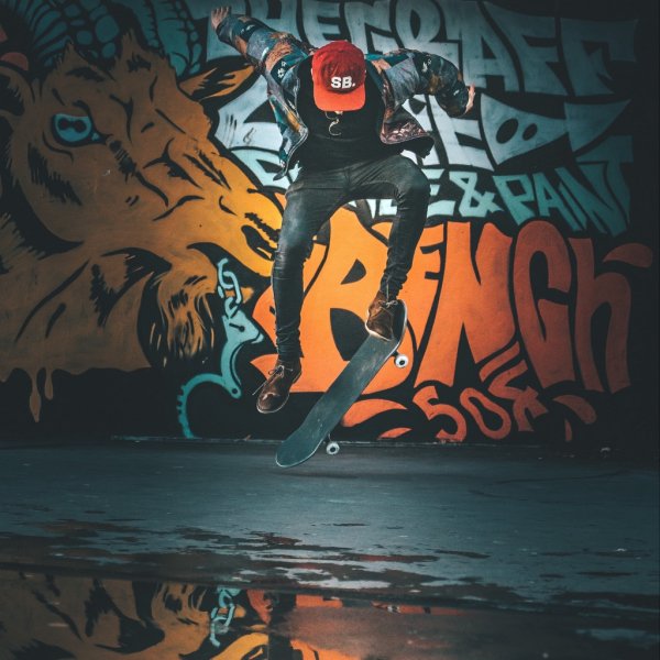 adapted landscape 1024x1024