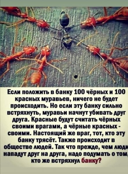 Fb368606b4860424cafb138cfd7ea0ad