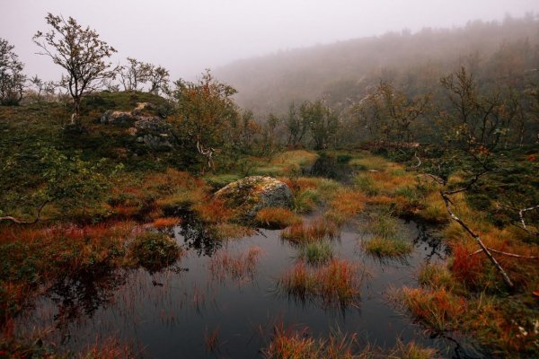 IMG 20211007 220625 517