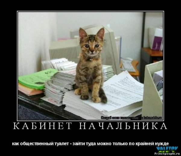 picture_400587000