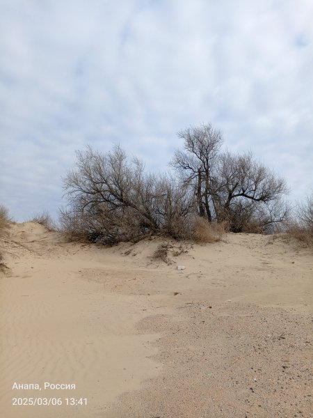 Анапа. Песчаные пляжи