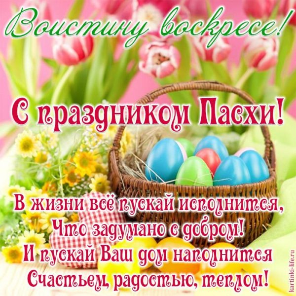 IMG-20200419-WA0019