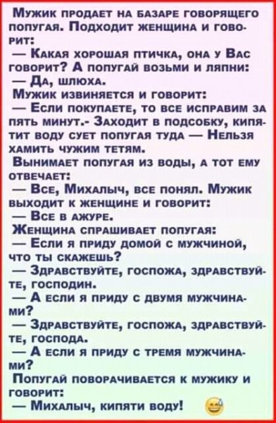 FB IMG 16275053736368197
