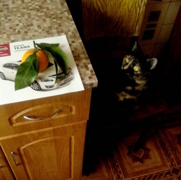 С годом обезьяны!