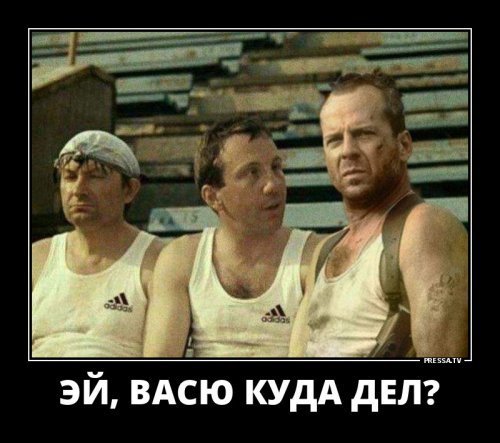 picture_211111730