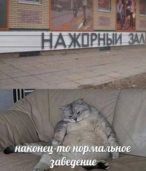 IMG 20250610 162404 962