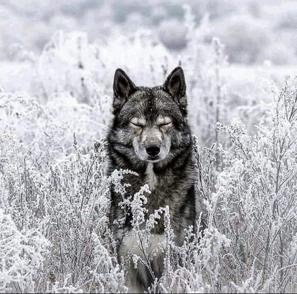 14-39-02-220425340 816130402372198 7819598882069061050 n