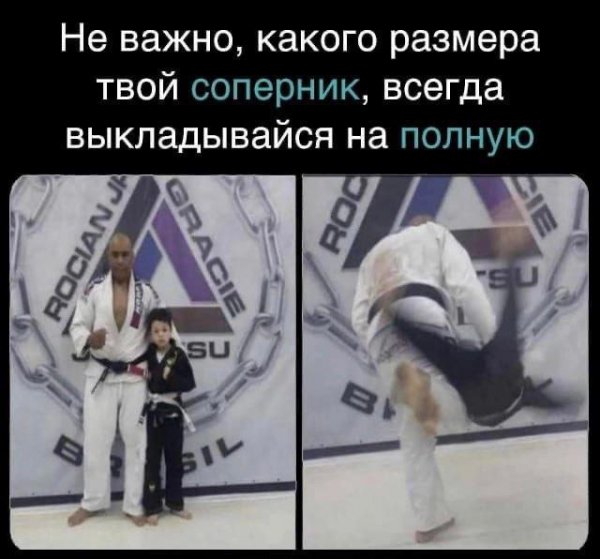 IMG 20251122 095505 366