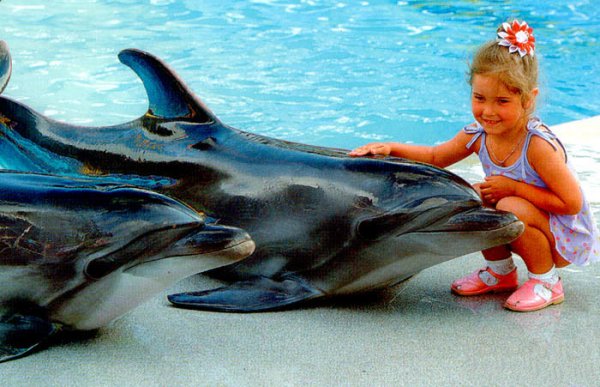 верные друзья