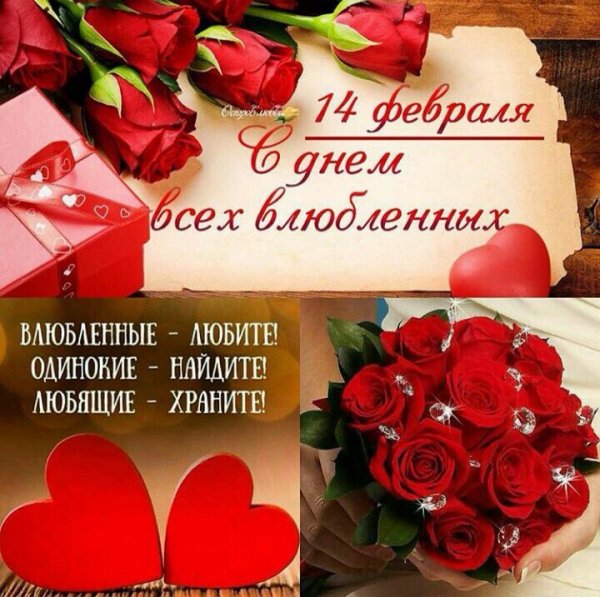 IMG-8c95e121c93f1ae6938dd895fc815046-V