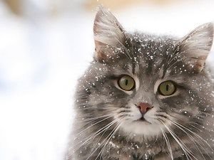 IMG 20161130 125041 1