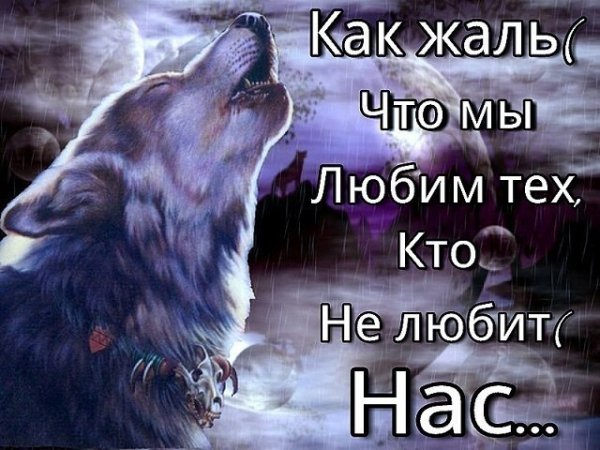 IMG 20181102 200449