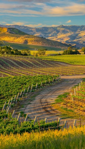 Screenshot 20260401-121545 One UI Home