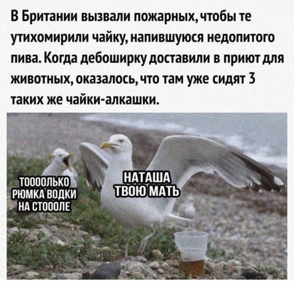 IMG 20250925 195555 548