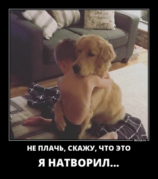 Не плачь