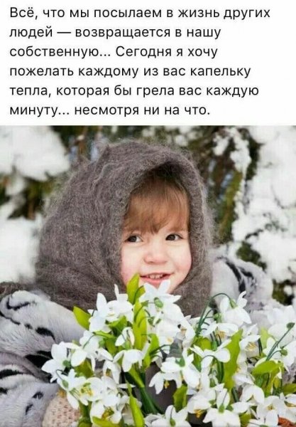 Друзья мои!