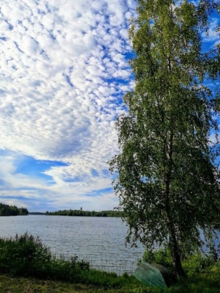IMG 20190705 091746