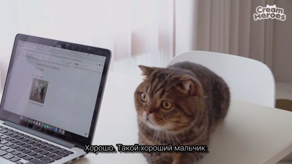 Screenshot 2021-03-10-20-31-33