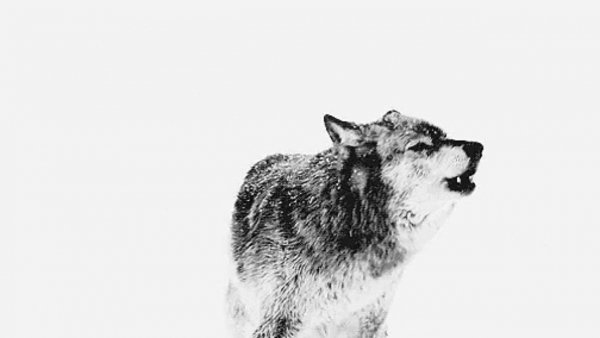 Родной тот, чья боль тебе больнее собственной