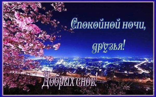 IMG 20190219 602159