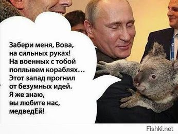 Вова и коала