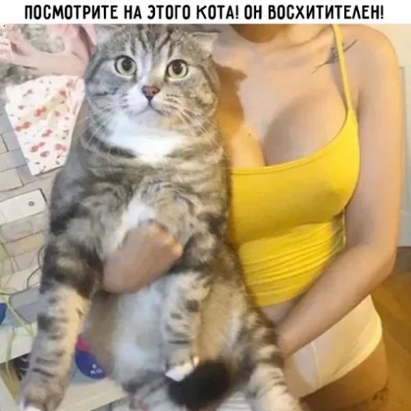p.600.600.0