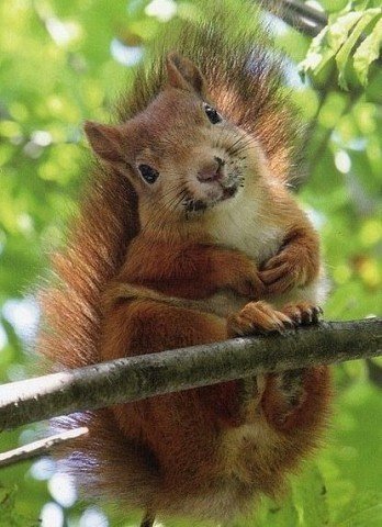 IMG 20150629 163915 45