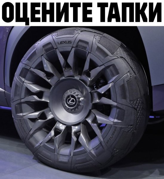 Тапки