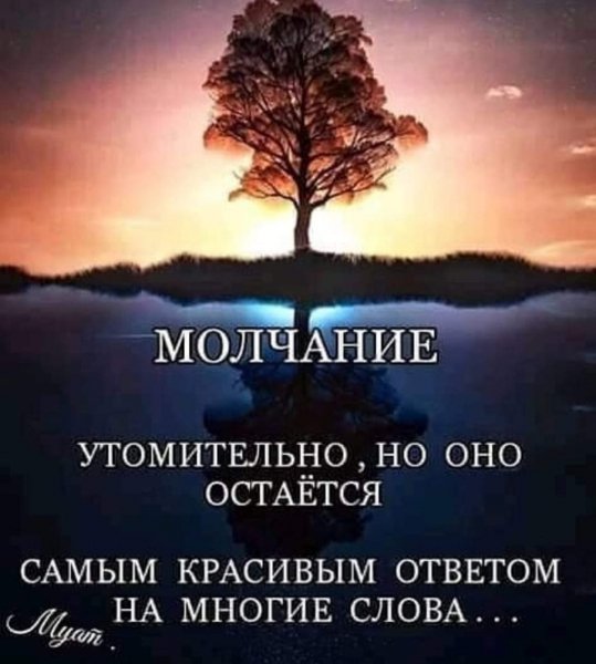 FB IMG 1627551997909