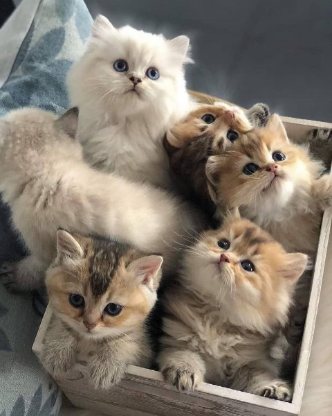 18-50-09-192277307 2965724760419800 6381085853087827182 n